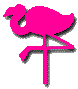 Pink Flamingo